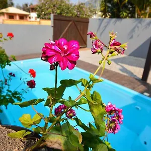 Casa Com Piscina Do Moçambique Casa de Férias